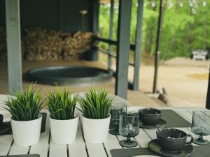 una mesa con plantas en macetas blancas en una mesa en Valmiera Riverside Retreat - Beverina Secret, 