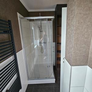 a shower with a glass door in a bathroom at Pochtas Fewo in Trier