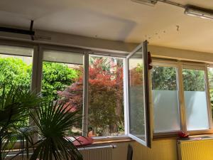tre finestre in una stanza con una pianta di Carli's Base Camp a Friedrichshafen