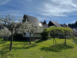 a house with a solar panel on the roof at Arnold's Nest in Kotlje