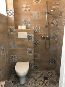 a bathroom with a toilet and a shower at Monolocale a Lesa - monolocale indipendente con divano letto e angolo cottura in Lesa