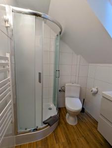 a bathroom with a toilet and a shower at Kaletka - cisza i przyroda in Iława