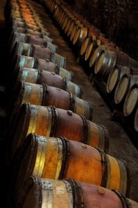 une rangée de vieux tonneaux de vin alignés dans l'établissement Domaine Borgnat, à Escolives-Sainte-Camille