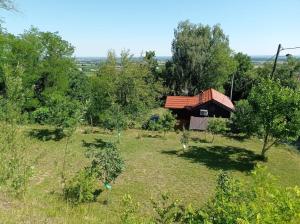 ein Haus inmitten eines Feldes mit Bäumen in der Unterkunft Bakino brdo - Granny's hill in Bakovčica