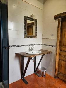 a bathroom with a sink and a mirror on the wall at Moulin de Galerne, Le gite du Meunier in Seigy +17 photos