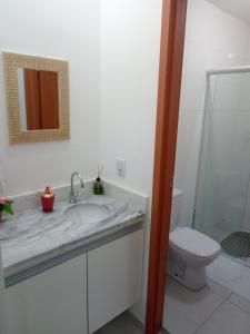 uma casa de banho com um lavatório, um WC e um espelho. em Kitnet à 300 metros da Canção Nova em Cachoeira Paulista