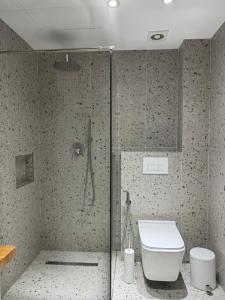 a bathroom with a glass shower and a toilet at Villa White in Ksamil
