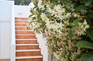 Fotografia z galérie ubytovania Malvazios Villas #7 v destinácii Gytheion