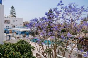 a tree with purple flowers in front of a building at Viking Family Superior Lux in Ayia Napa