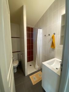 a bathroom with a toilet and a shower and a sink at maison de lachanau in Hourtin