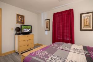 a bedroom with a bed and a tv on a dresser at Mountain View Condo 1205 by Eden Crest in Pigeon Forge