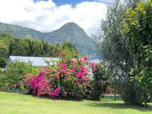 Paesaggio naturale nelle vicinanze della villa