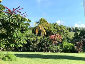 Giardino di Le jardin des B-joux