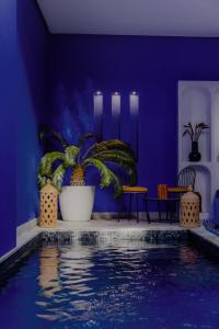 Φωτογραφία από το άλμπουμ του MarrakChill στο Μαρακές