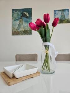 Fotografie z fotogalerie ubytování Apartman Sky v destinaci Sremska Mitrovica