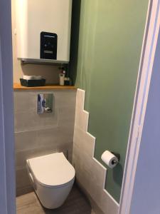 un bagno con un water bianco e un lavandino di Studio centre ville et terrasse a Romans-sur-Isère