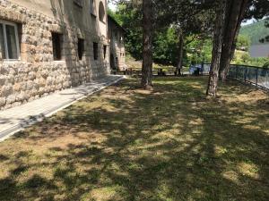 O grădină în afara Apartman