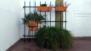 Κήπος έξω από το Departamento Independiente con Terraza +21 φωτογραφίες