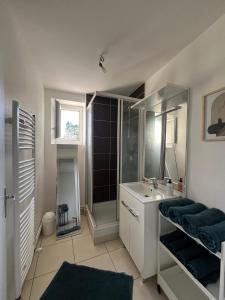 uma casa de banho com um chuveiro, um lavatório e um espelho. em Maison au coeur des châteaux em Cour-Cheverny