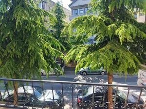 a tree in a parking lot with parked cars at LEVI Apartment in Pogradec +15 photos