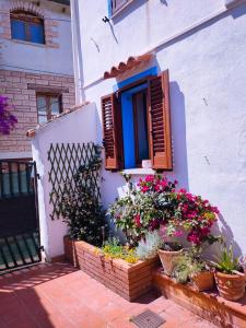 a white house with flowers and a blue window at Nel Cortile della Casa di Carta, due Singole Unità in Torpè +19 photos
