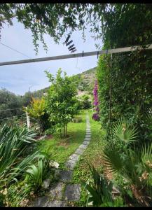 a garden with a walkway in the distance at GreenGarden in Dubrovnik
