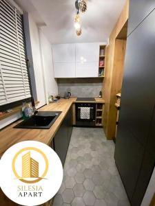 Kuchyň nebo kuchyňský kout v ubytování Apartament Lancelot