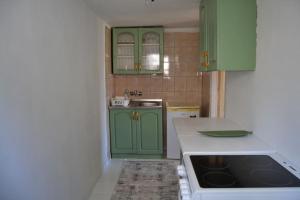 a kitchen with green cabinets and a stove top oven at Una Apartment Cetinje in Cetinje
