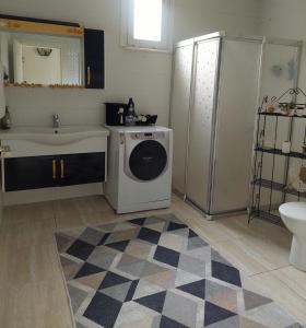 uma casa de banho com um lavatório e uma máquina de lavar roupa em Hânetül Mabeyn em Rize