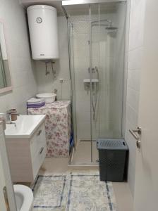 a bathroom with a shower and a toilet and a sink at A part hn in Herceg-Novi
