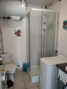 a bathroom with a shower and a toilet at Gîte au Ptit Canin in Moyenneville +18 photos