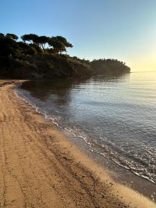 una spiaggia sabbiosa con alberi in acqua di Suosogno sul mare 200metri dalla spiaggia a Capoliveri