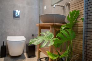 O baie la Casa Irene