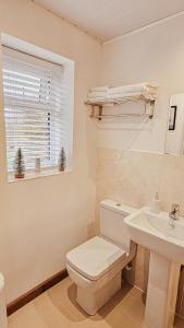 baño con aseo y lavabo y ventana en Wild Valley Huts, en Llanrhaeadr-ym-Mochnant