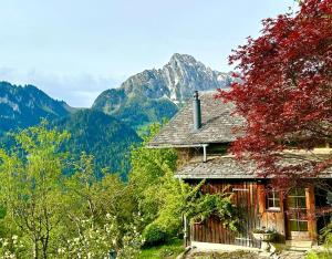 una casa con una montaña en el fondo en Gstaad Paradise View Chalet with Jacuzzi, en Rougemont