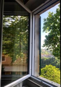 una finestra con vista su un albero di B&B Dimor'à a Pitigliano