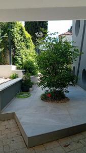Vonkajšia záhrada v ubytovaní Villa Maboka