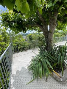 Zahrada ubytování Paisible Eden standing Terrasse - Magnifique Vue - Esprit nature en pleine ville