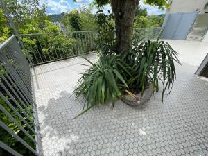Zahrada ubytování Paisible Eden standing Terrasse - Magnifique Vue - Esprit nature en pleine ville