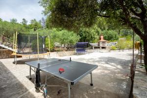 a ping pong table in a yard with a swing at Villa Franciska in Blato