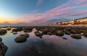 Imagen de la galería de The Coach House R 6, en Ringstead