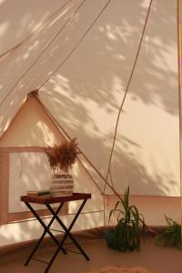 a plant sitting on a table in a tent at Casa de campo glamping in Eželiškės
