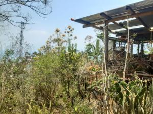 un edificio al centro di un campo di piante di Earthship 3 levels FAMILY cabin with lake view a San Marcos La Laguna