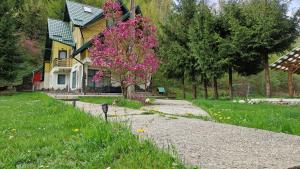 a yellow house with a tree with pink flowers at Cheile Valsanului in Brăduleţ