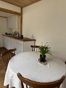 uma cozinha com uma mesa com um vaso de plantas em The Lighthouse em Pāvilosta