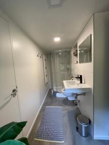 een badkamer met een wastafel, een douche en een spiegel bij La Grange 28 in Bergen op Zoom