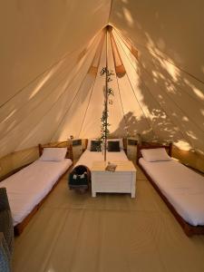 a tent with two beds and a table in it at Glamping at Camp Corve in Chale