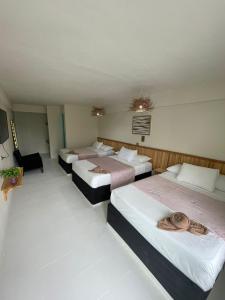 un gruppo di 4 posti letto in una camera di Hotel cacao spa cozumel a Cozumel Altre 22 foto