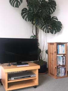 einen Flachbild-TV auf einem Holzständer neben einer Pflanze in der Unterkunft Waterside Holiday Cottage on Camel Trail Wadebridge Sleeps 5 in Wadebridge