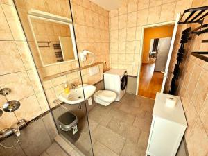 a bathroom with a toilet and a sink and a shower at Apartment 7-10 in Oberschleißheim